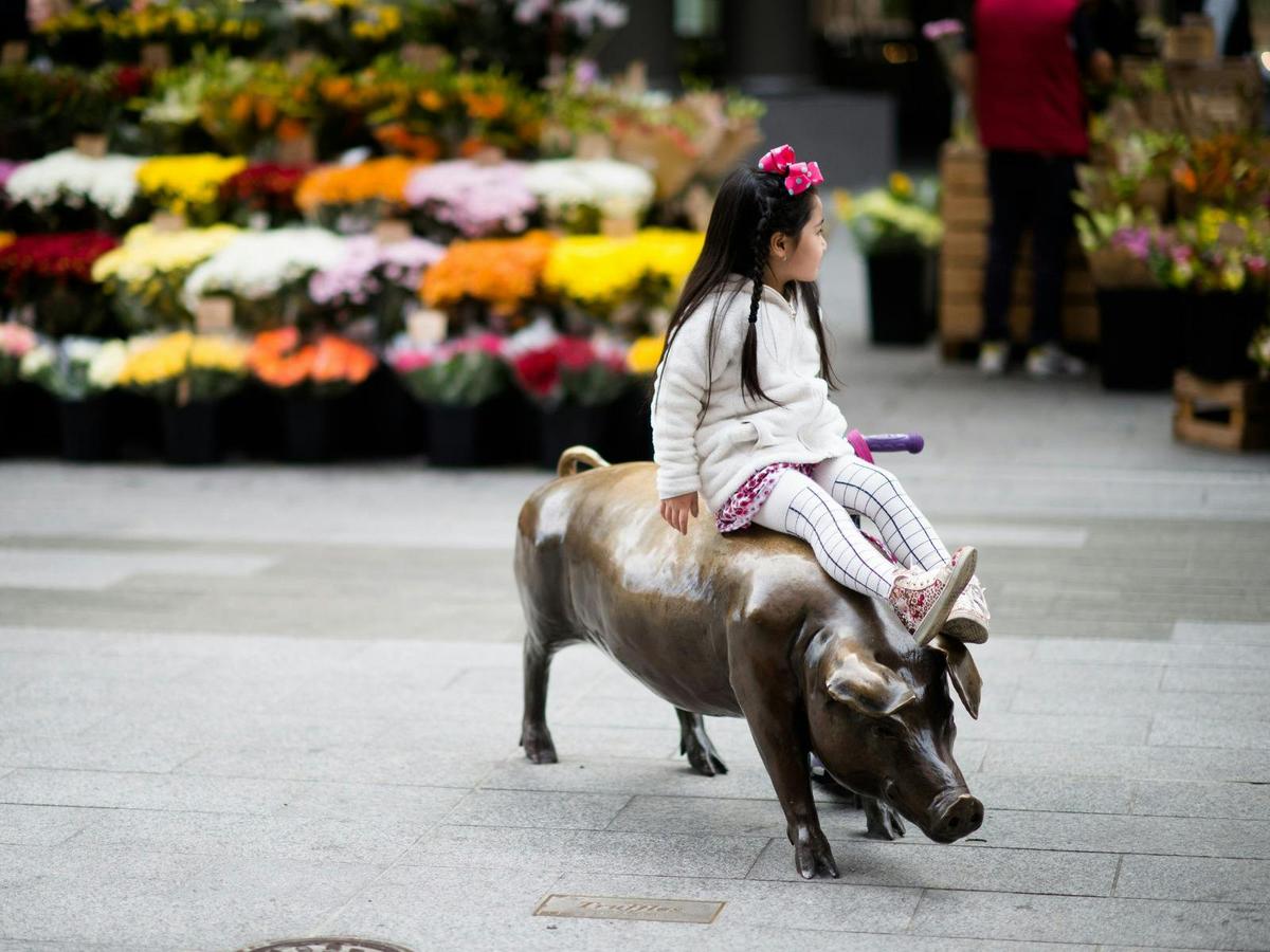 A young visitor enjoys the Rundle Mall pigs