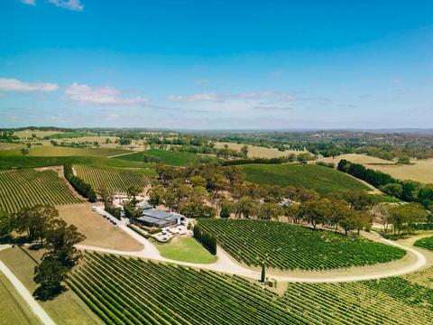 The Lane Vineyard