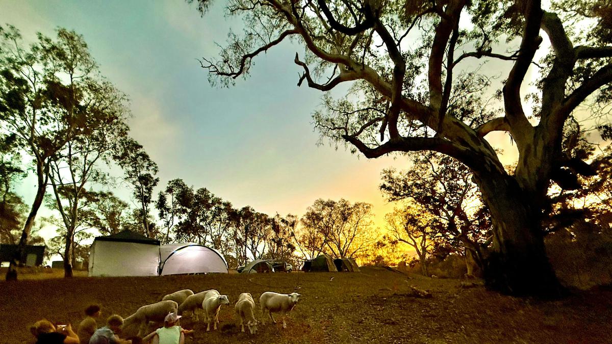 Sunset Rocks Farmstay