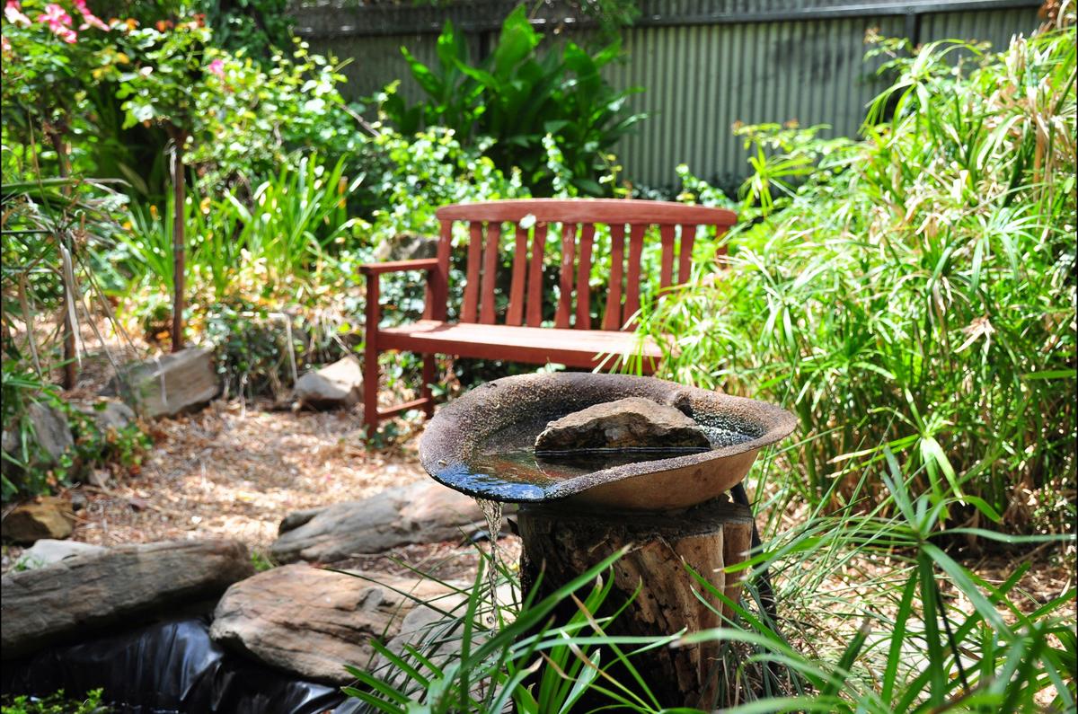 Back Yard Pond