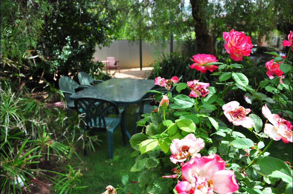 Shady outdoor area