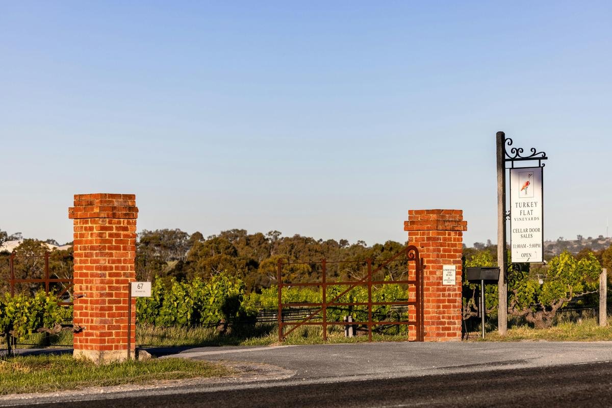 Entry to Turkey Flat Vineyards