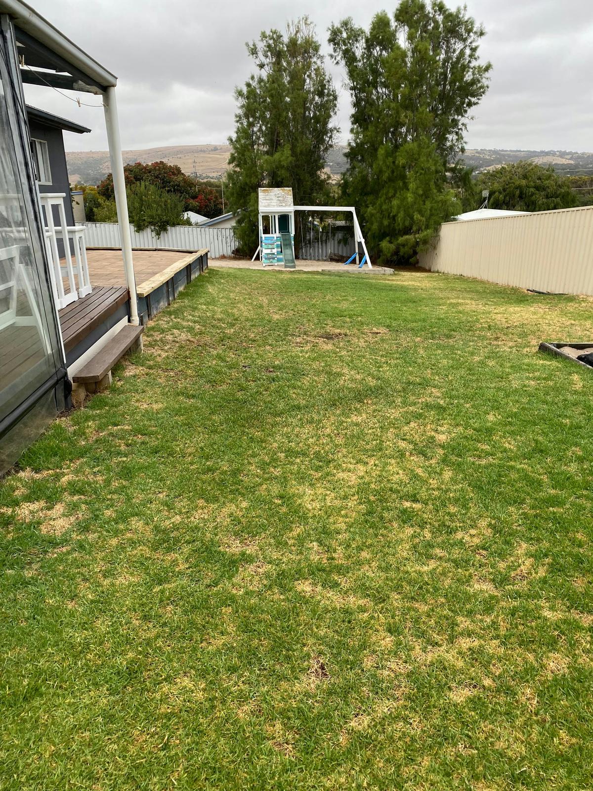 Back yard
