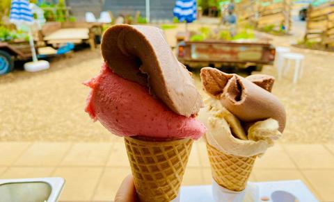 Sweet Life Gelateria and Pizzeria