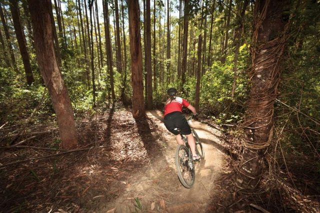 The Sawmill MTB Park