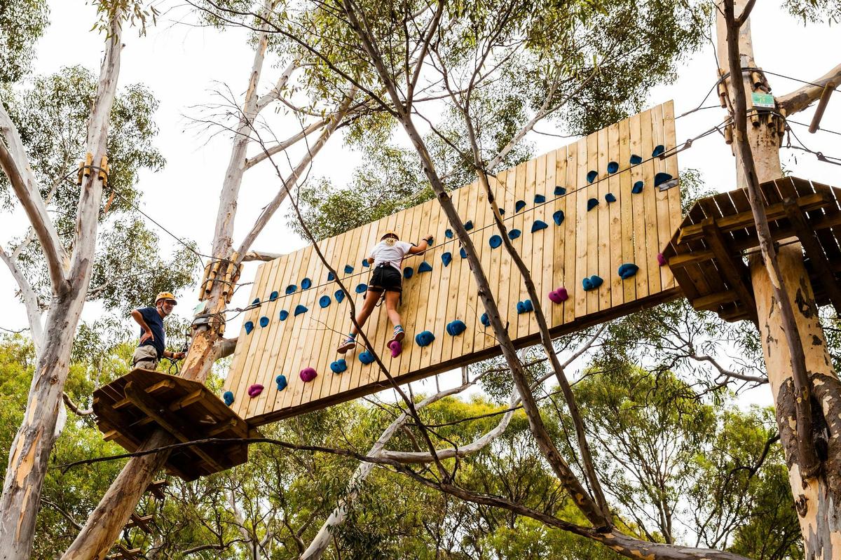 Black Course - Climbing Wall
