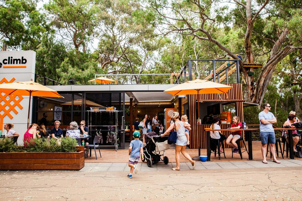 TreeClimb Adelaide