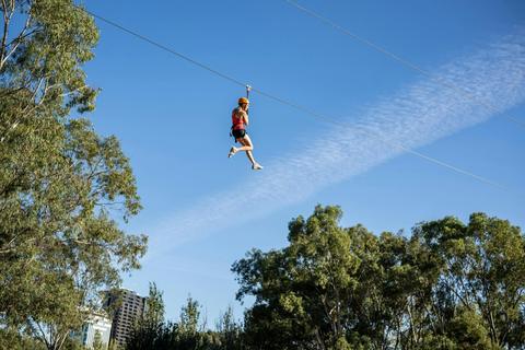 TreeClimb Adelaide