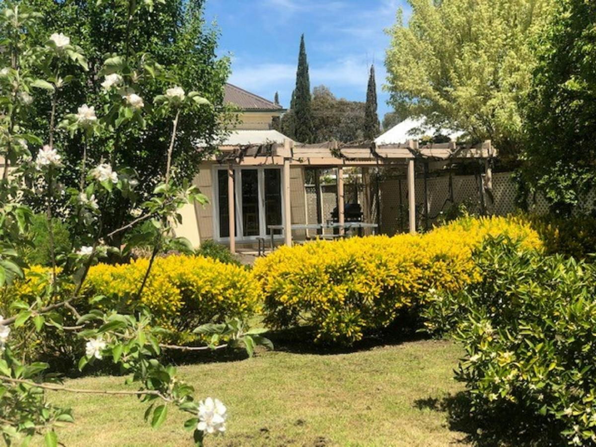 Tin House backyard