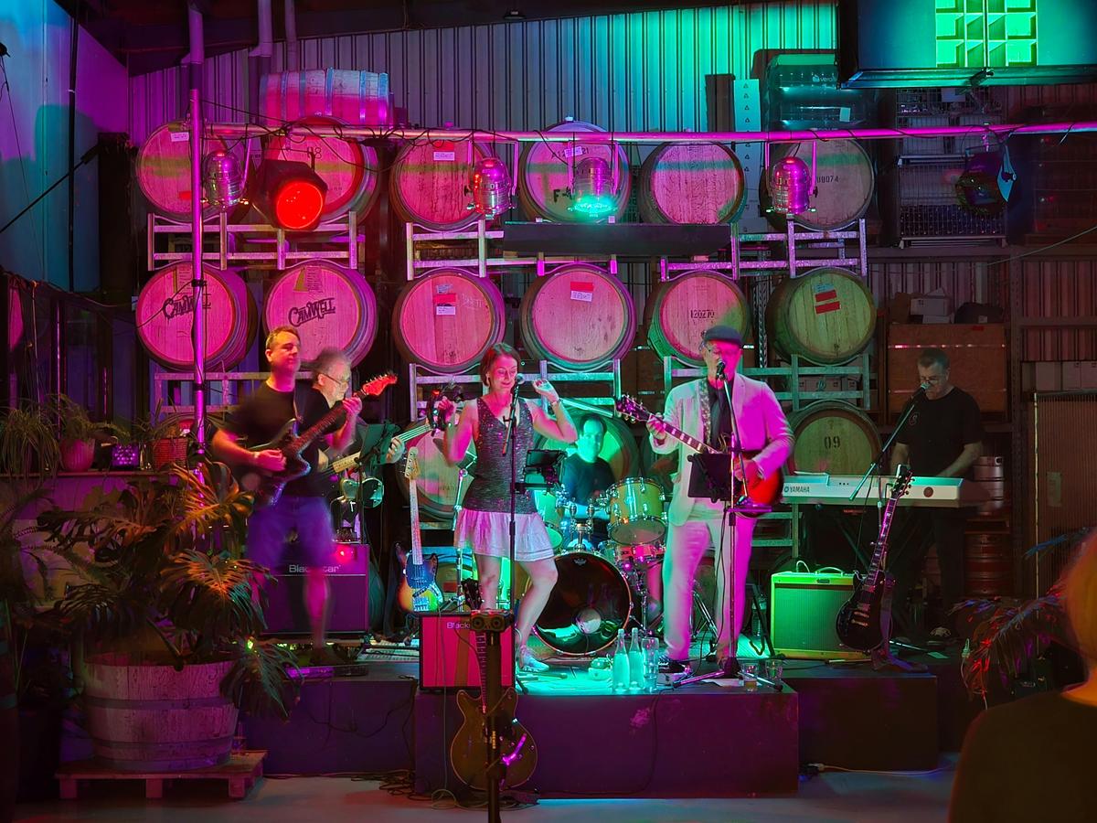 Blues band playing a colourfully lit bar with a backdrop of wine barrels