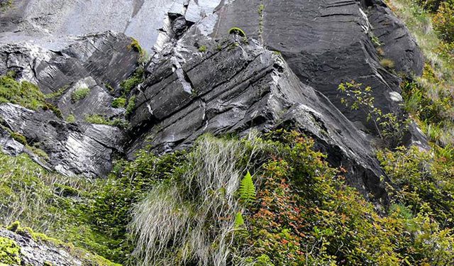 Weeping Rock Walking Track