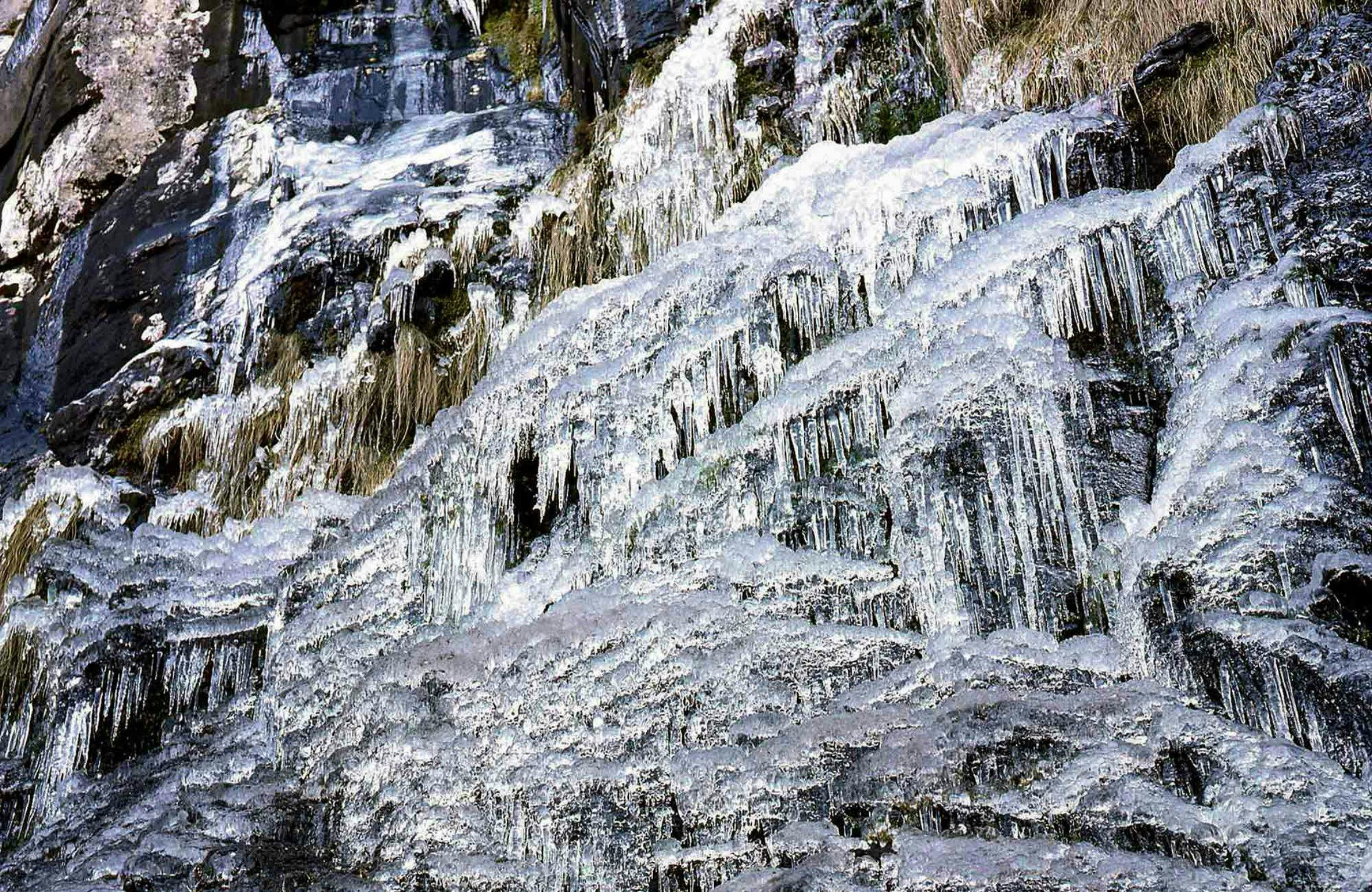 Weeping Rock walking track, New England National Park. Photo: N Fenton