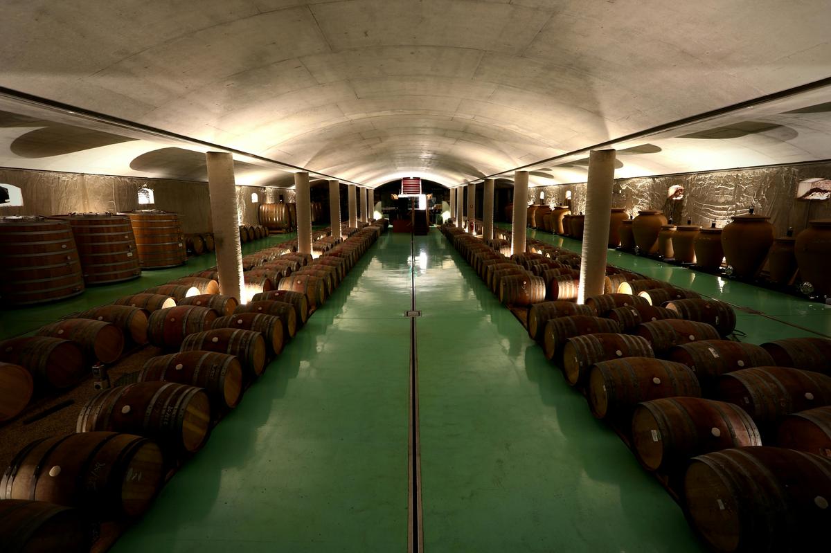 Underground Cellar Experience