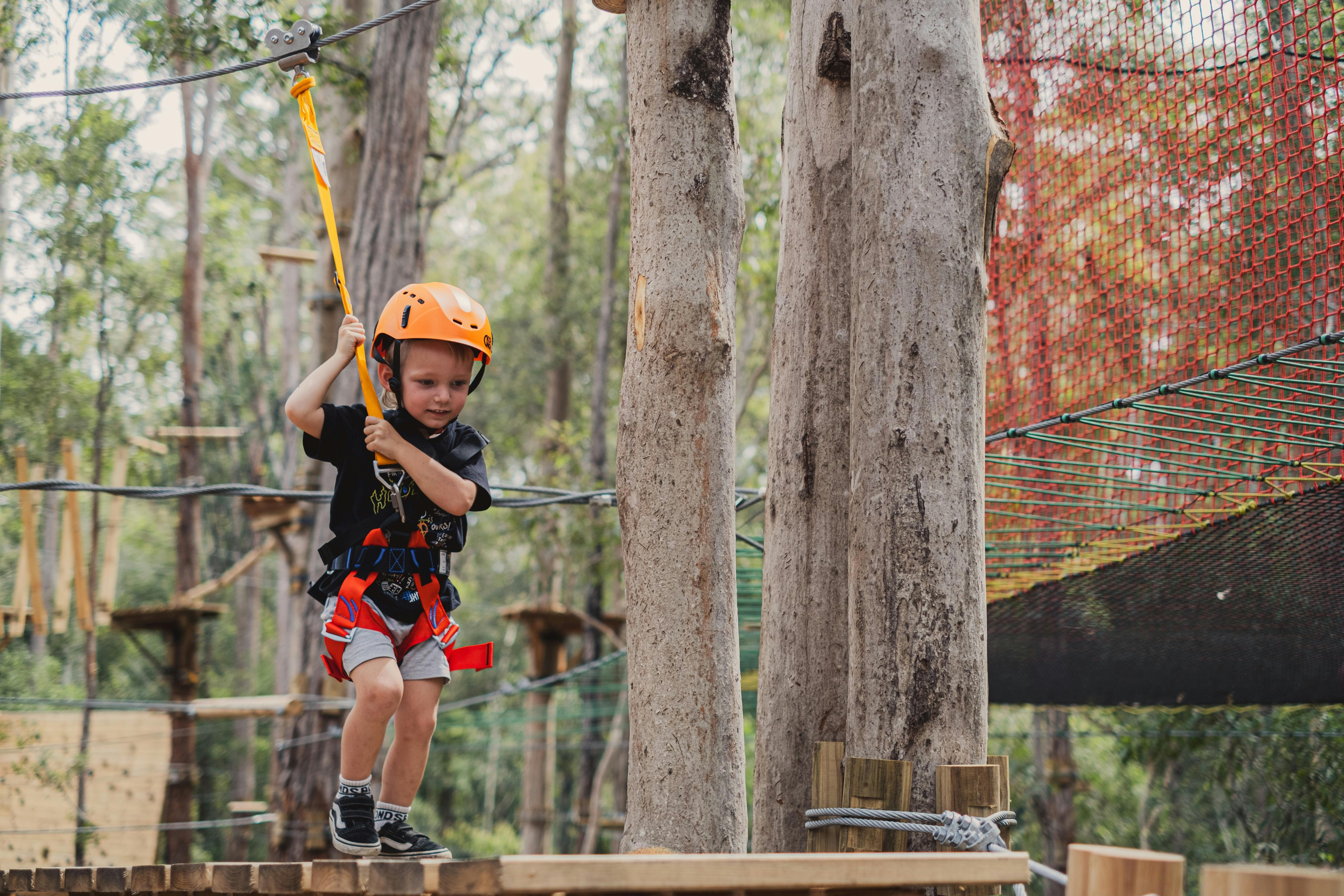 ropes course zipline treetops tree tops adventure family treetop challenge wildnets kids