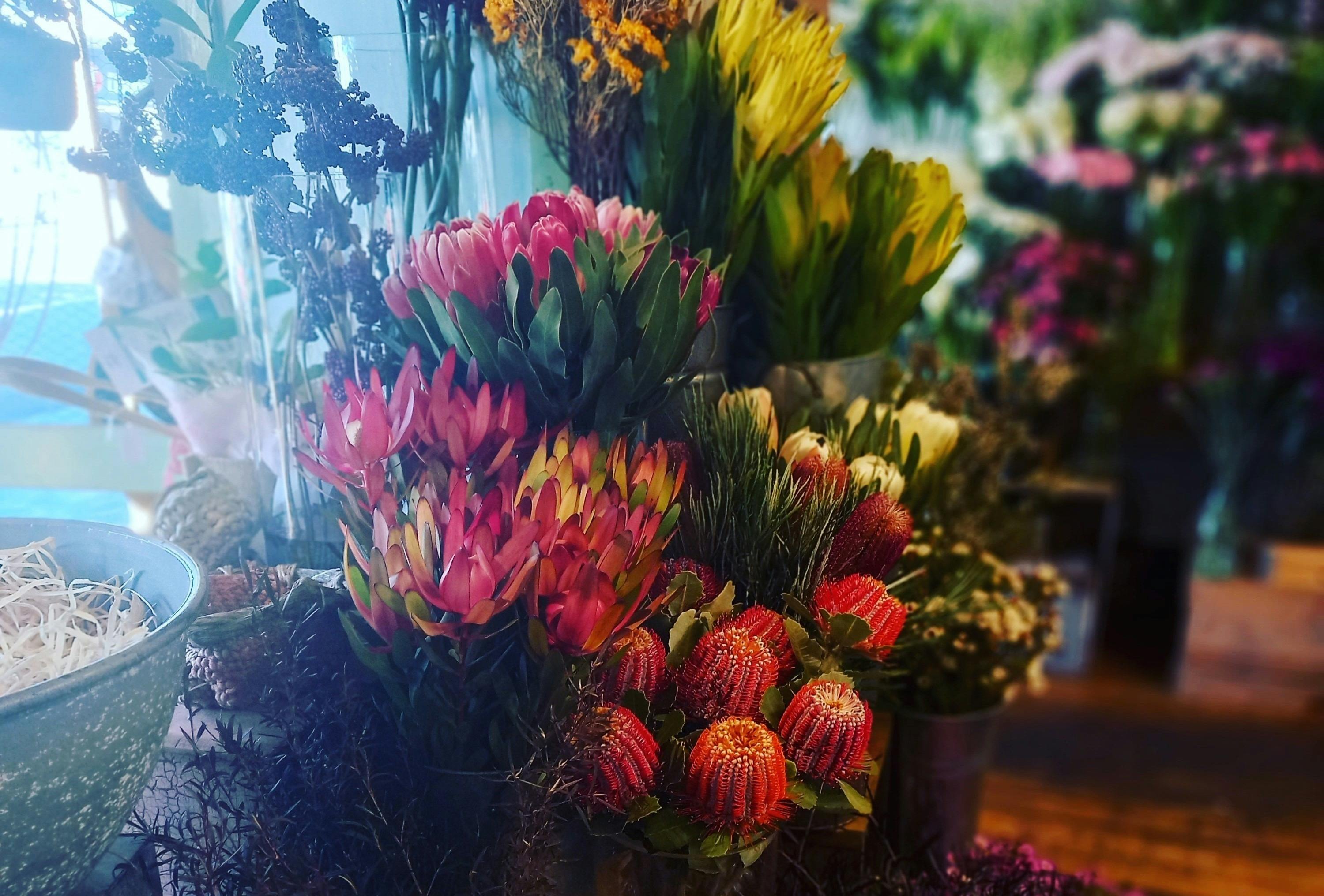 The Petal Collective