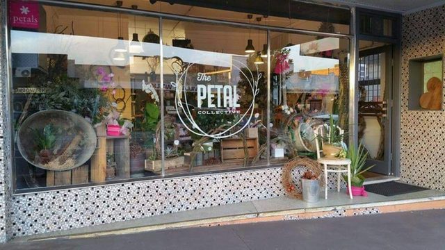 The Petal Collective