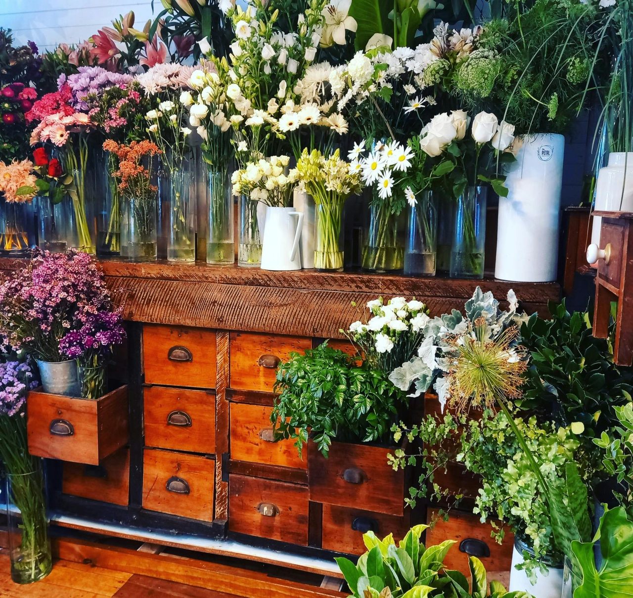 Petal Collective