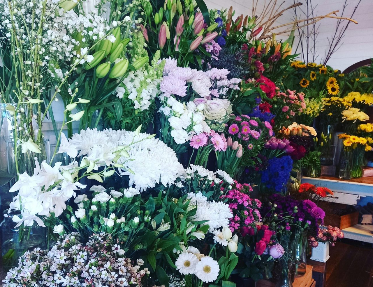 The Petal Collective
