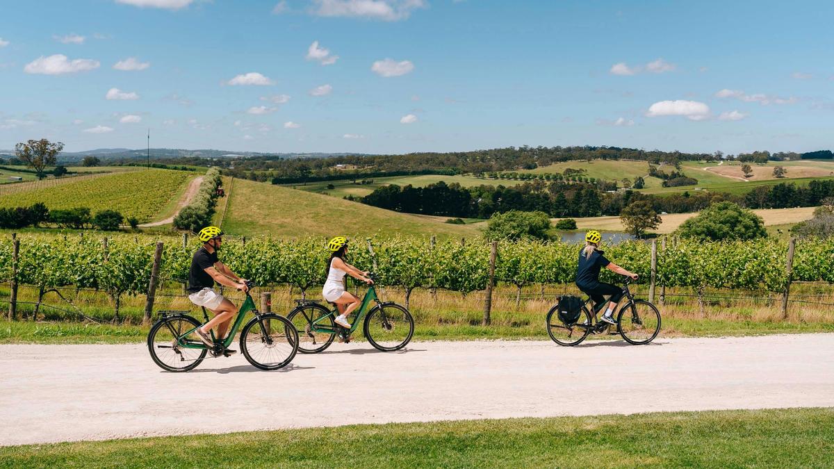 BikeAbout e-bike tour through the Adelaide Hills, beginning and ending at The Lane Vineyard.