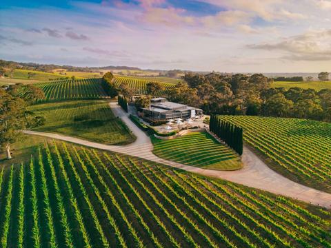 The Lane Vineyard - Experiences