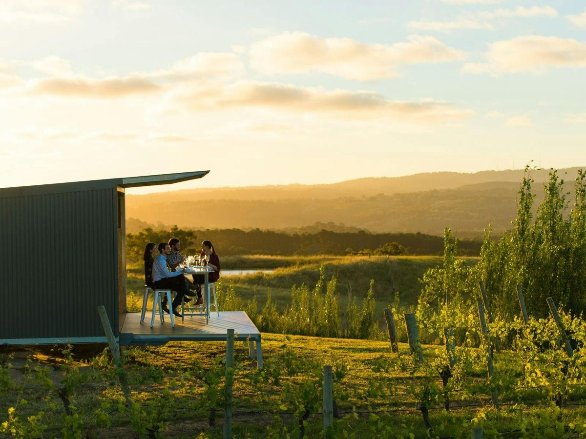 Enjoying a Panorama Experience at The Lane Vineyard.