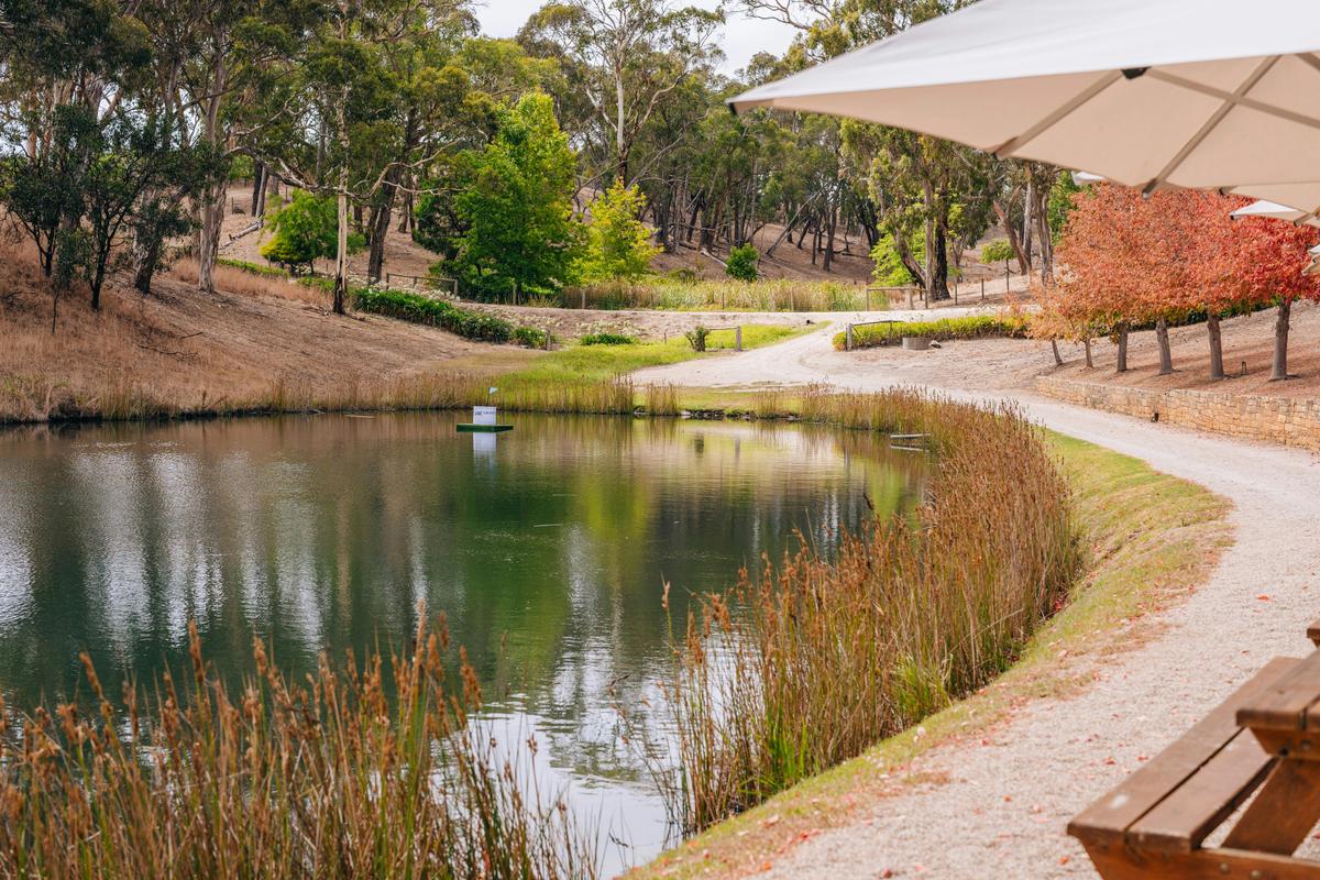 Boatshed Experience