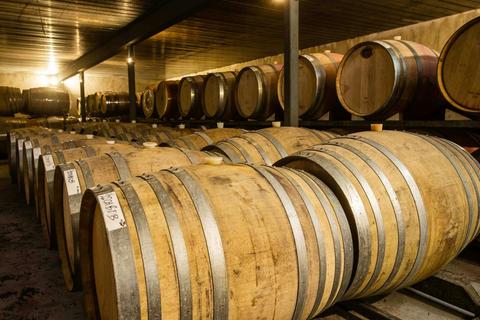 Cellar Experience