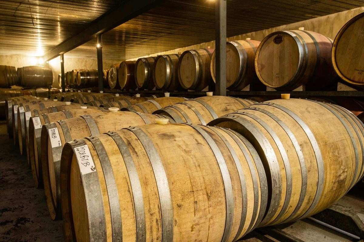 Cellar Experience
