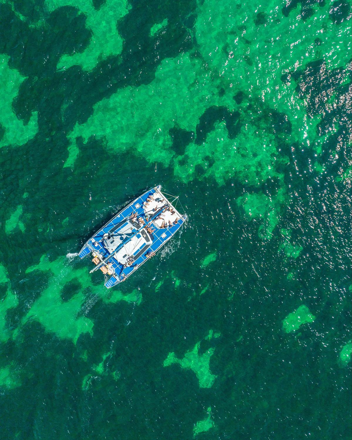 Coastal Day Cruise