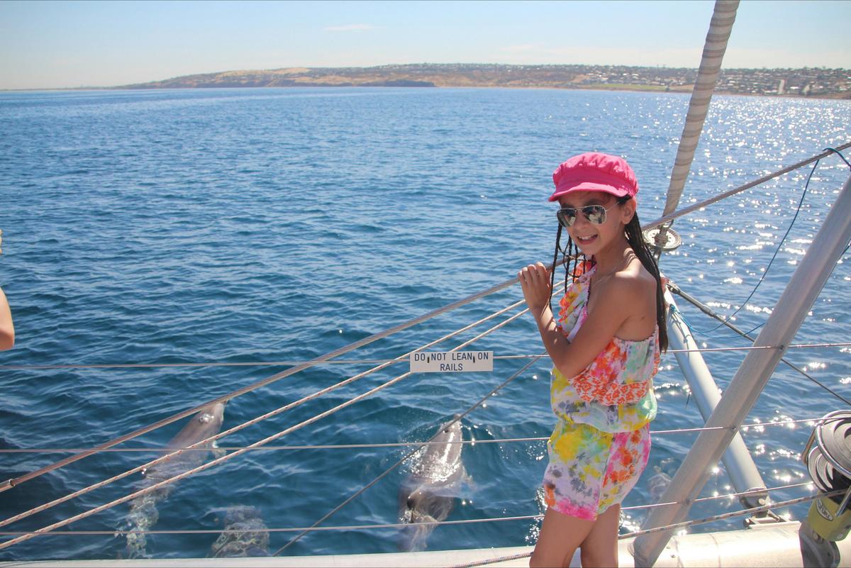 Wild Dolphin Watch