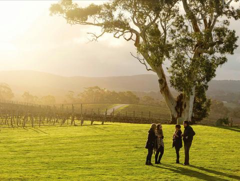 Hahndorf and Adelaide Hills Hop On Hop Off Wine Tour