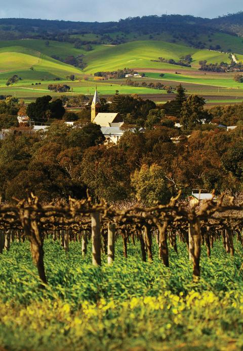 Barossa Valley Hop On Hop Off Wine Tour