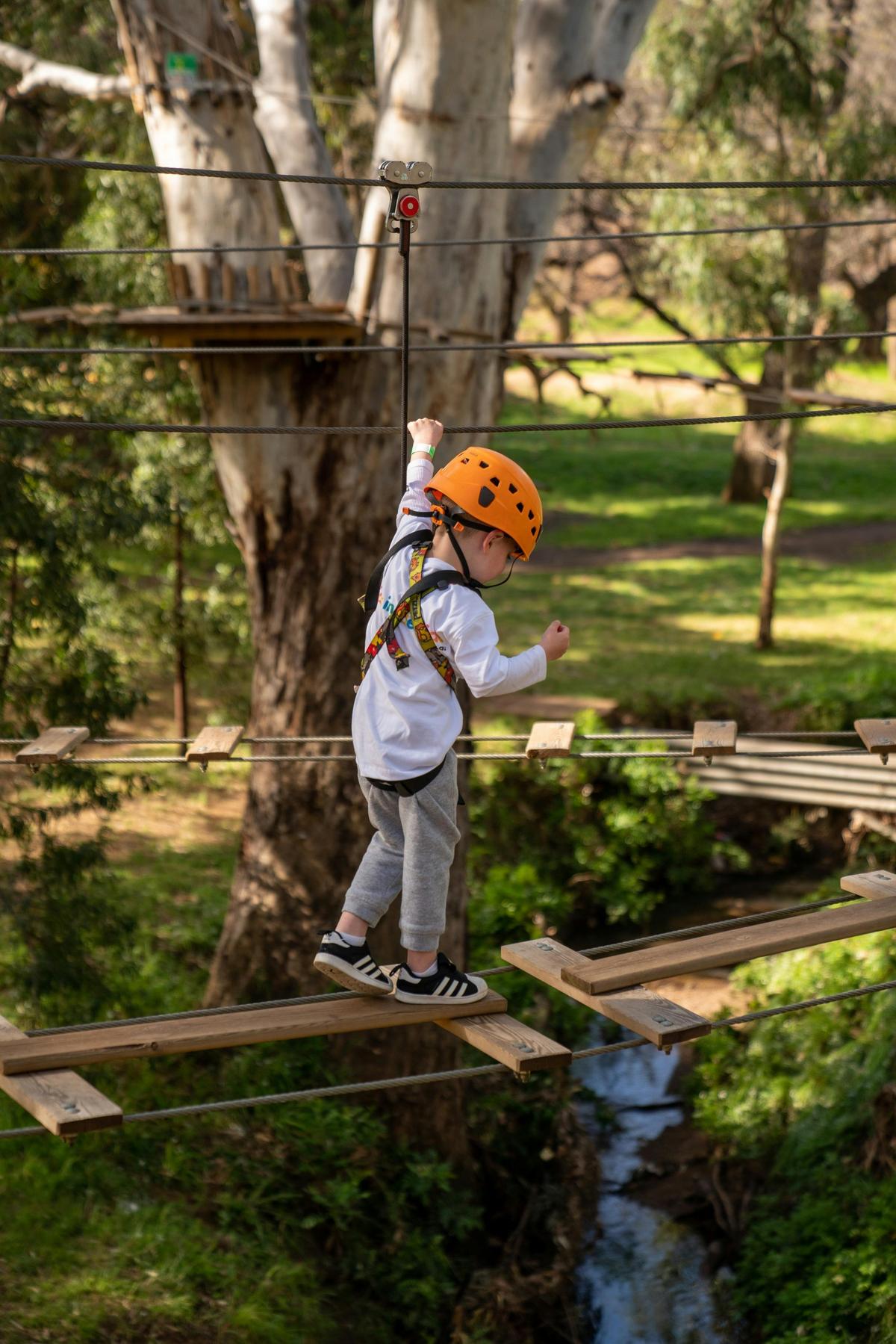 Treeclimb Kids Course
