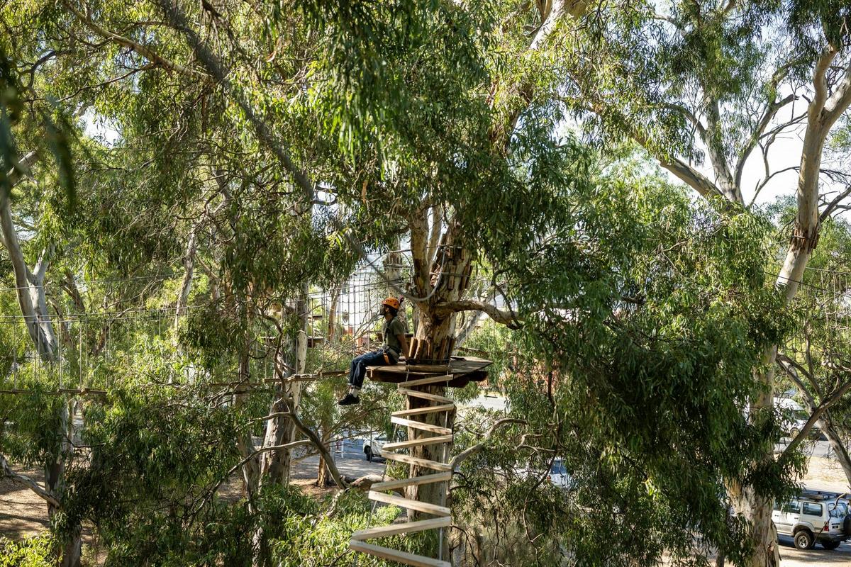 TreeClimb Adelaide Climber Takes a Break