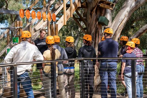 Treeclimb Grand Course