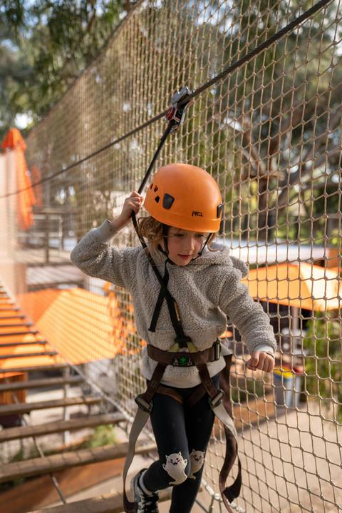 Treeclimb Kids Course
