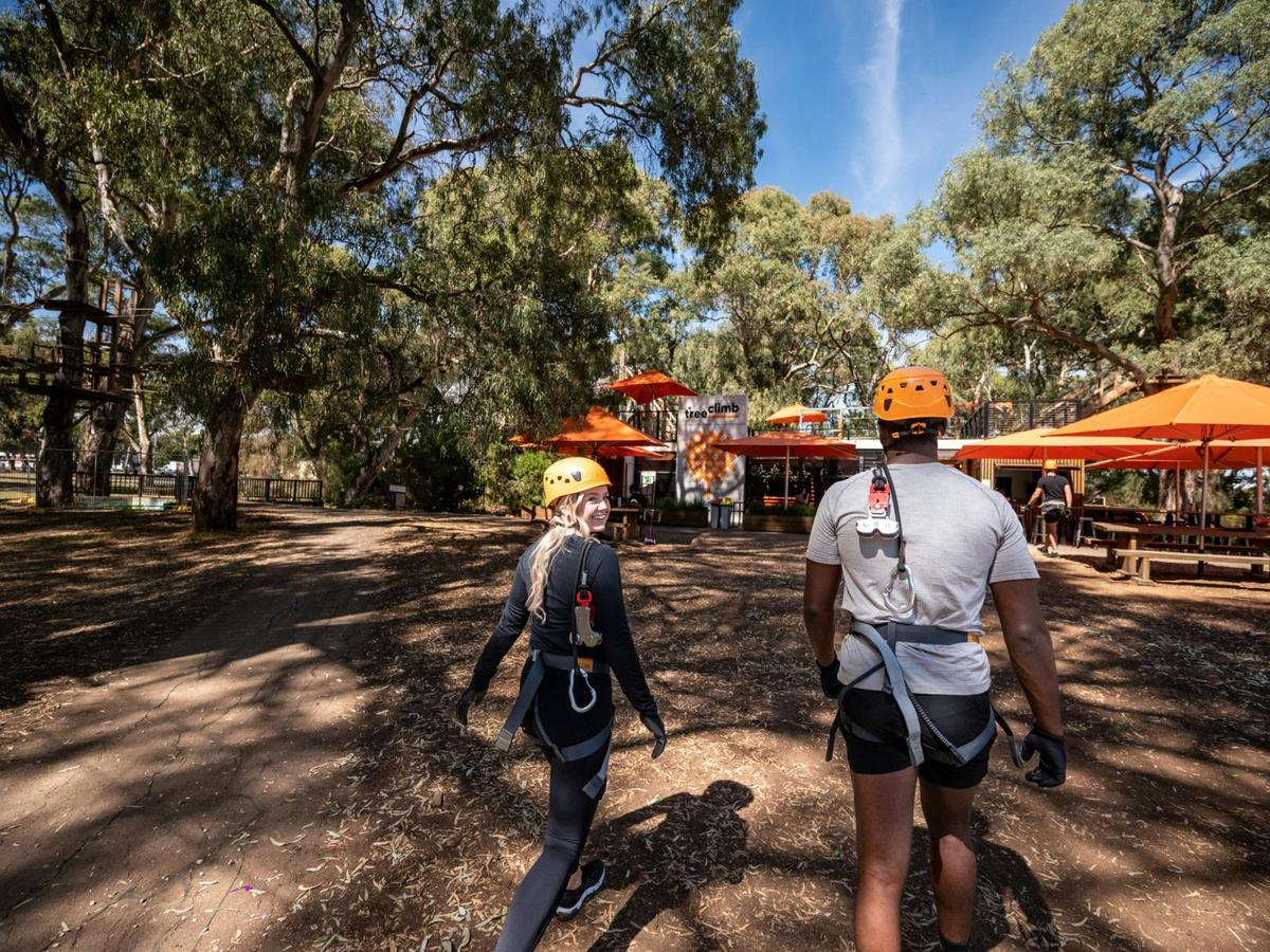 Treeclimb Grand Course