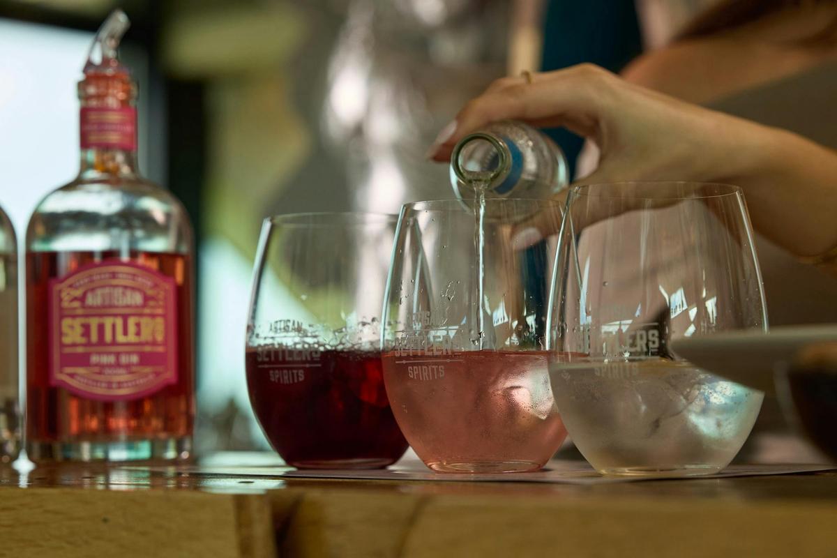 Hosted Tour, Wine Tasting, and Gin Tasting