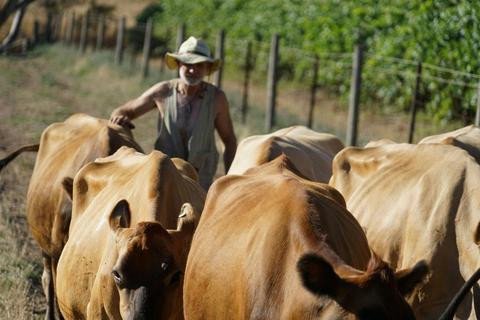 The Dairyman Barossa