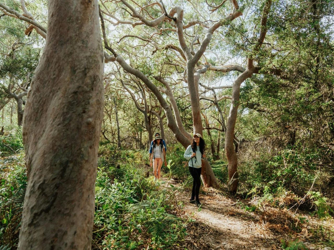 Tomaree Coastal Walk