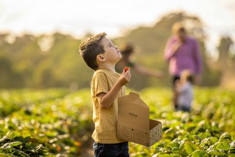 The Beerenberg Family Farm