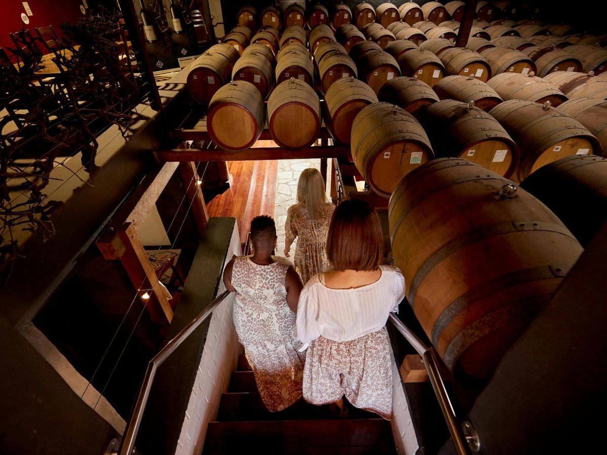 Descending Underground to the Cellar Door
