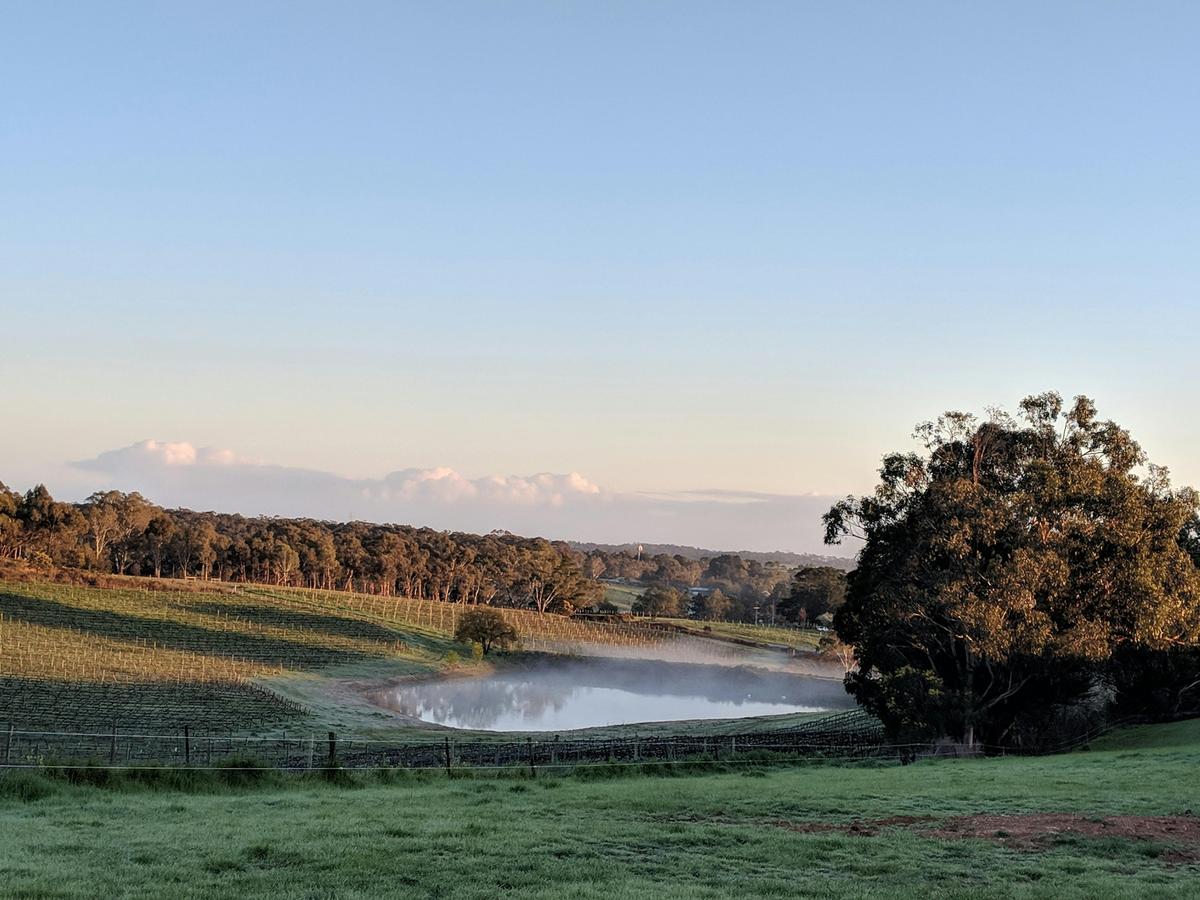 Paracombe Premium Perry carpark views