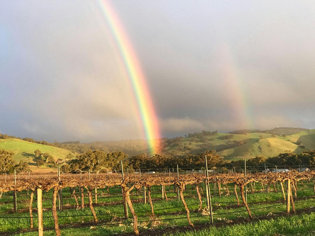 Rainbow in the Barossa