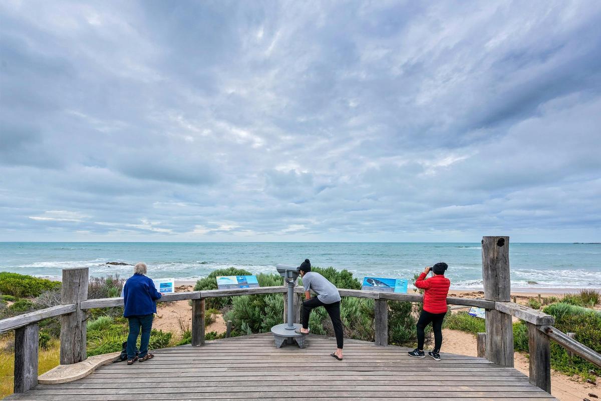 Bashams Beach Lookout, Port Elliot