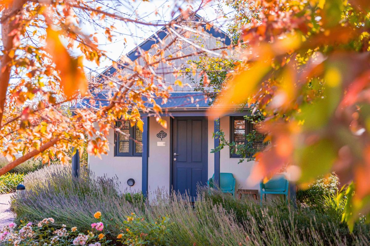 Autumn at The Studios