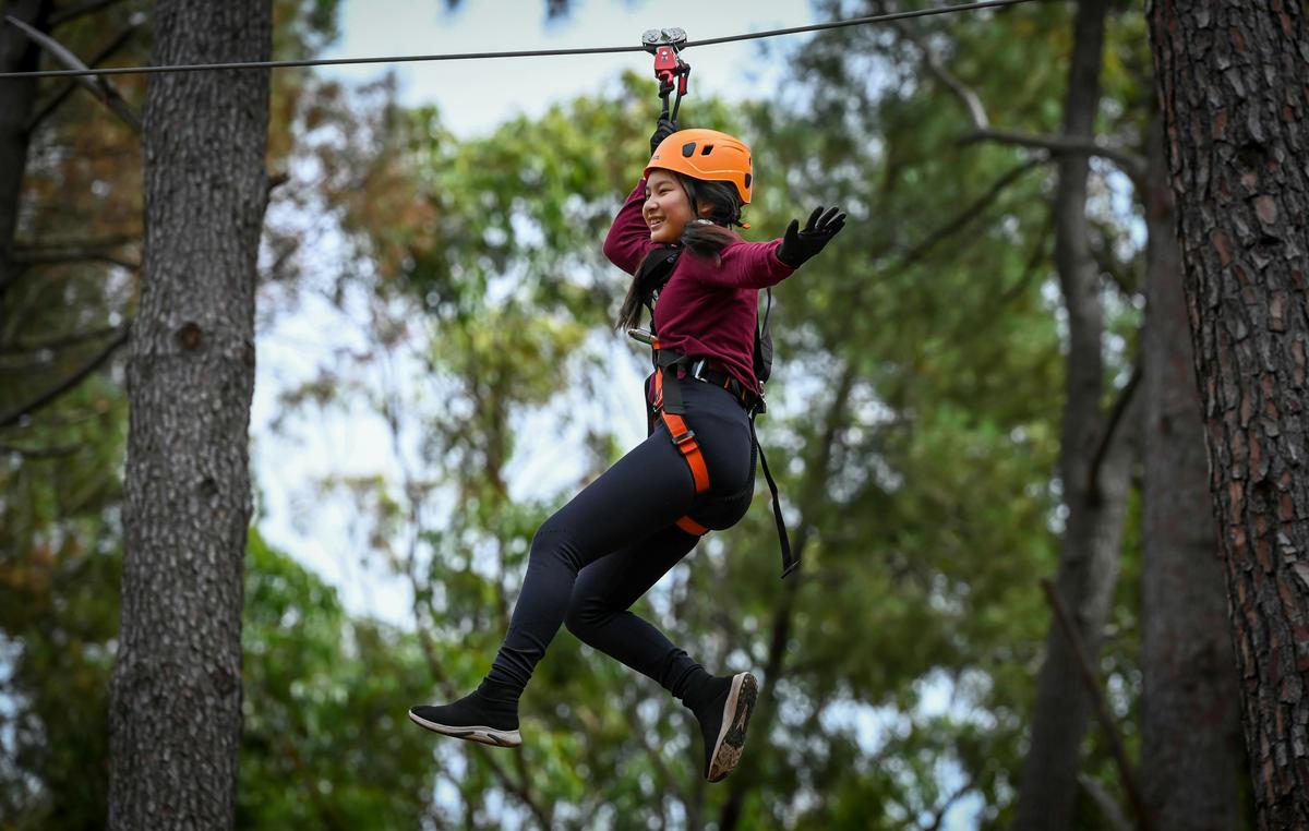 TreeClimb Kuitpo Zipline
