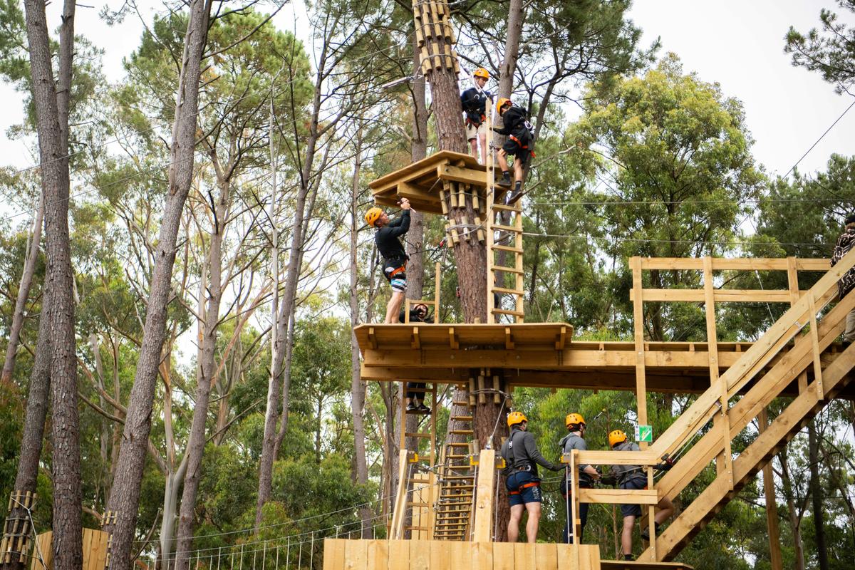 TreeClimb Kuitpo Forest