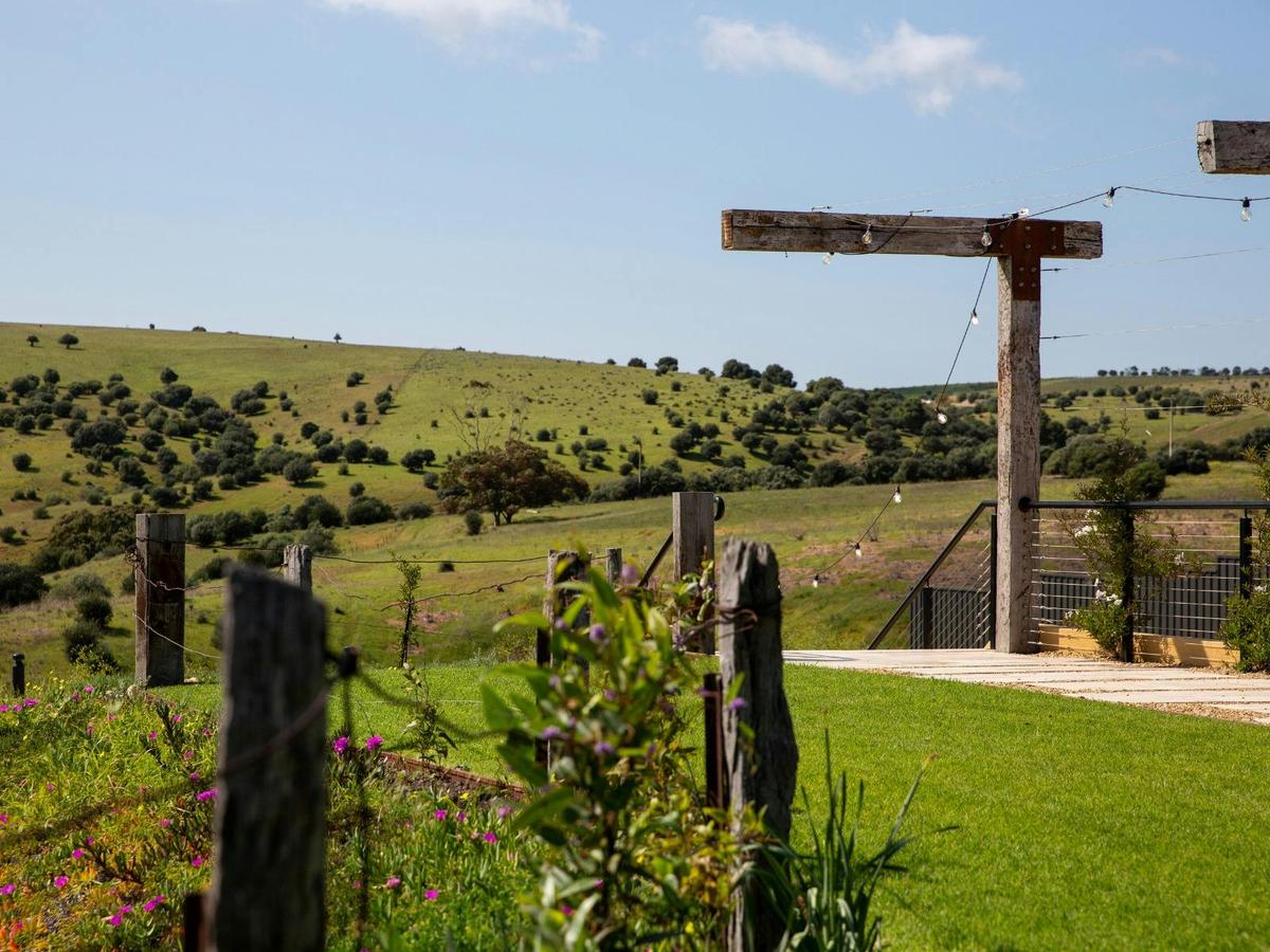Varney Wines