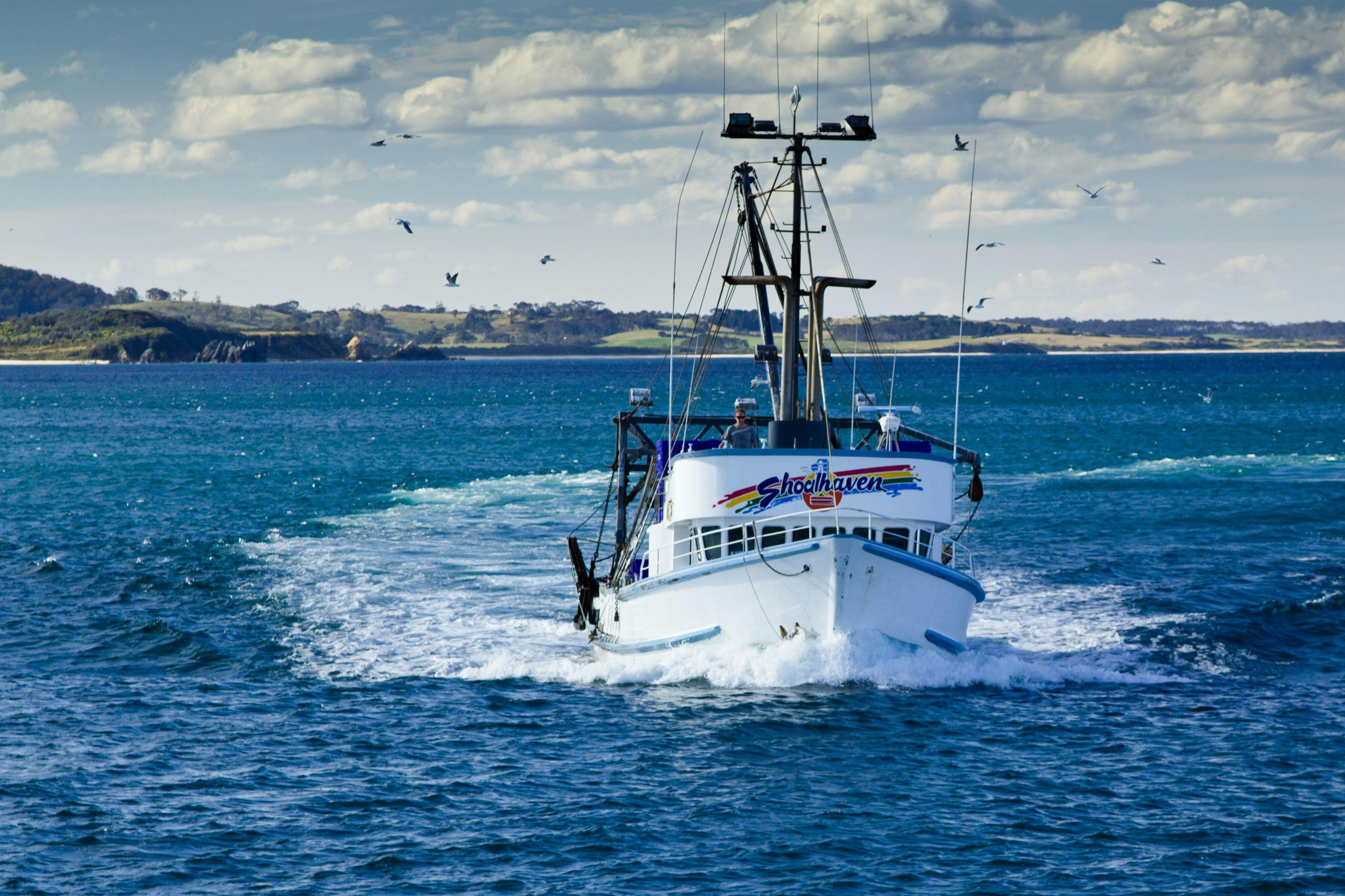 Fishing vessel 'Shoalhaven'